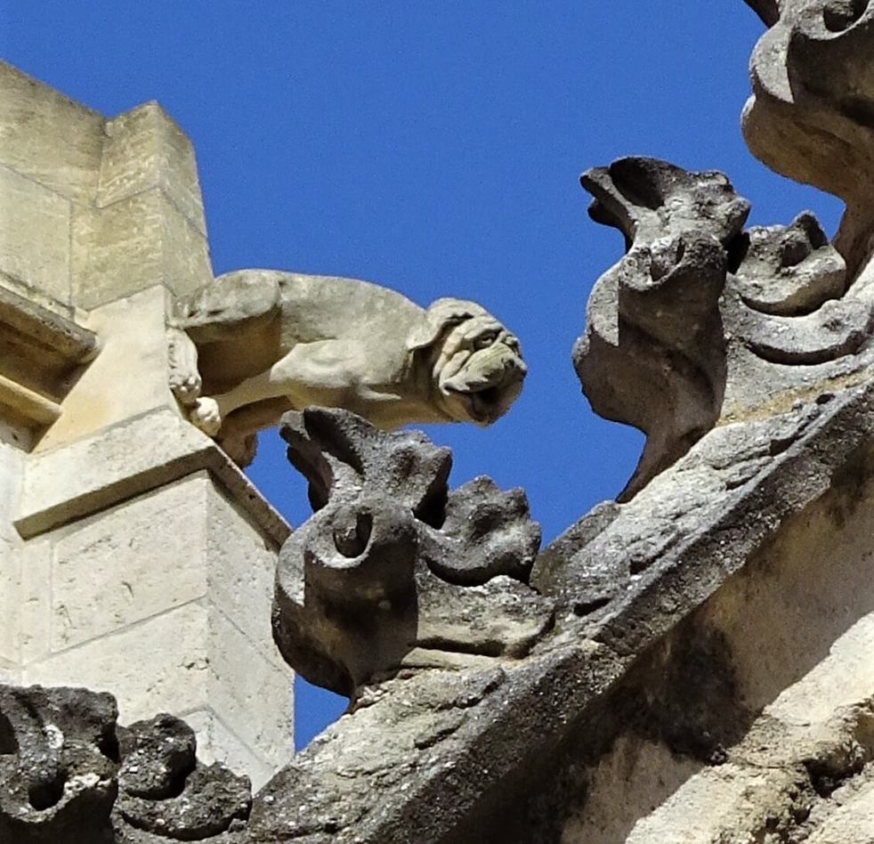 Narbonne Cathedral gargoyle